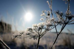 Sunce - naš prirodni iscelitelj