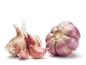 garlic