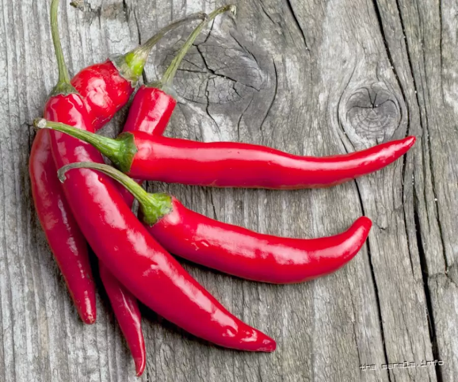 red hot chili - ljuta