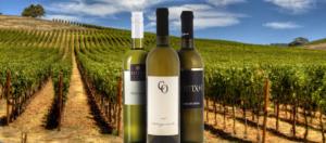 Nakon brojnih kritika Vučić se ispričao istarskim vinarima