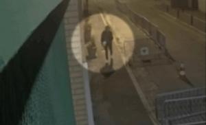 Srbi uhapšeni u Srbiji zbog napada na džamije i židovske objekte u Parizu